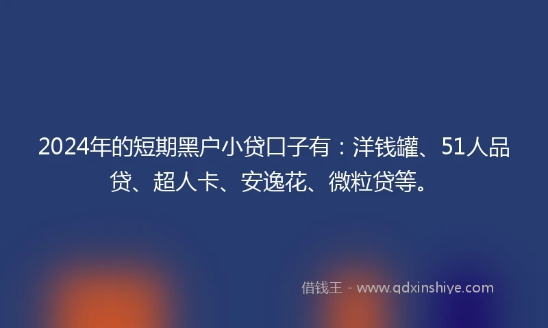 2024年的短期黑户小贷口子有：洋钱罐、51人品贷、超人卡、安逸花、微粒贷等。