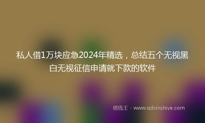 私人借1万块应急2024年精选，总结五个无视黑白无视征信申请就下款的软件