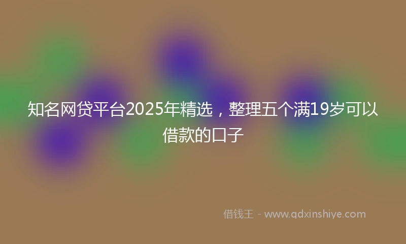 知名网贷平台2025年精选，整理五个满19岁可以借款的口子