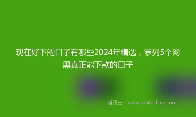 现在好下的口子有哪些2024年精选,罗列5个网黑真正能下款的口子