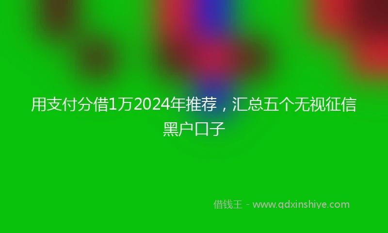 用支付分借1万2024年推荐，汇总五个无视征信黑户口子