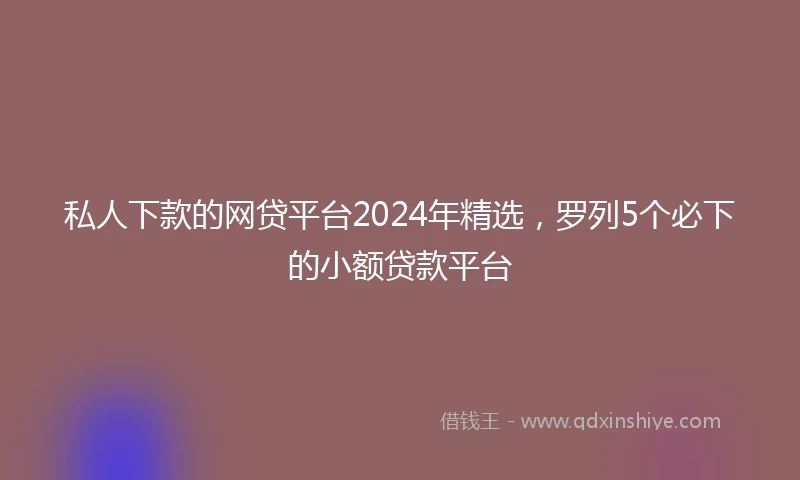 私人下款的网贷平台2024年精选，罗列5个必下的小额贷款平台