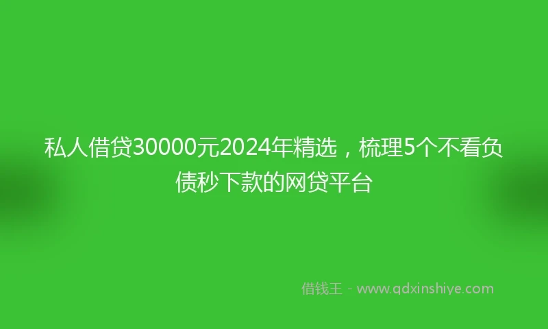 私人借贷30000元2024年精选，梳理5个不看负债秒下款的网贷平台