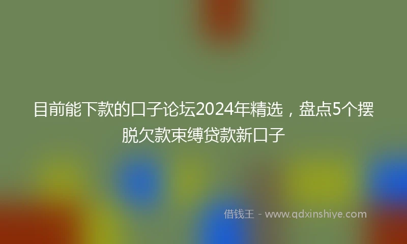 目前能下款的口子论坛2024年精选，盘点5个摆脱欠款束缚贷款新口子