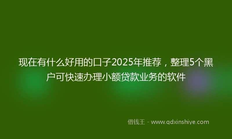 现在有什么好用的口子2025年推荐，整理5个黑户可快速办理小额贷款业务的软件