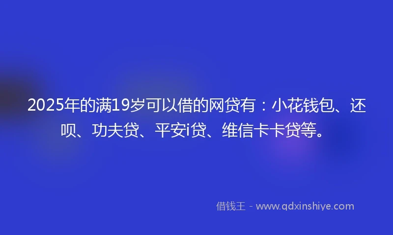 2025年的满19岁可以借的网贷有：小花钱包、还呗、功夫贷、平安i贷、维信卡卡贷等。