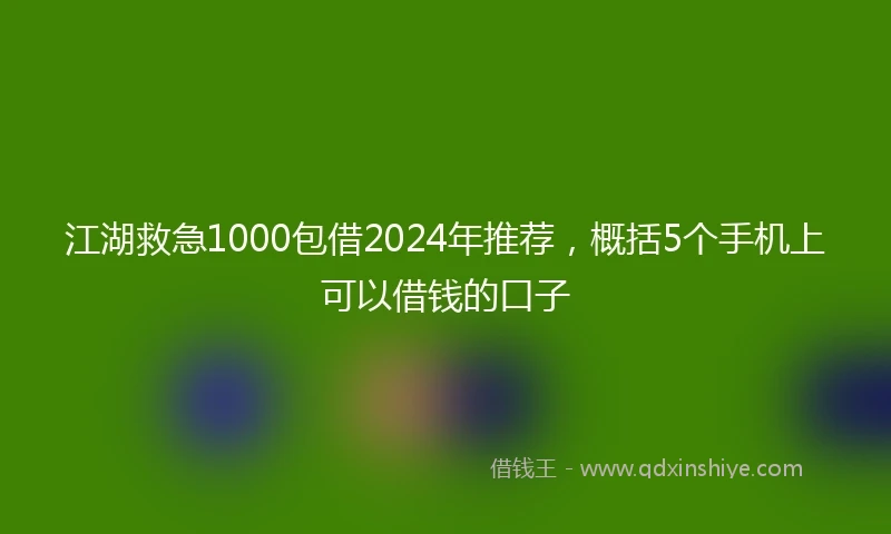 江湖救急1000包借2024年推荐，概括5个手机上可以借钱的口子