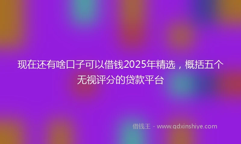 现在还有啥口子可以借钱2025年精选，概括五个无视评分的贷款平台