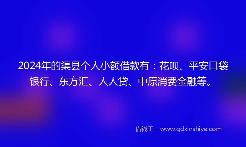 2024年的渠县个人小额借款有：花呗、平安口袋银行、东方汇、人人贷、中原消费金融等。
