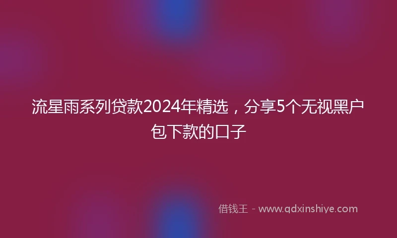流星雨系列贷款2024年精选，分享5个无视黑户包下款的口子