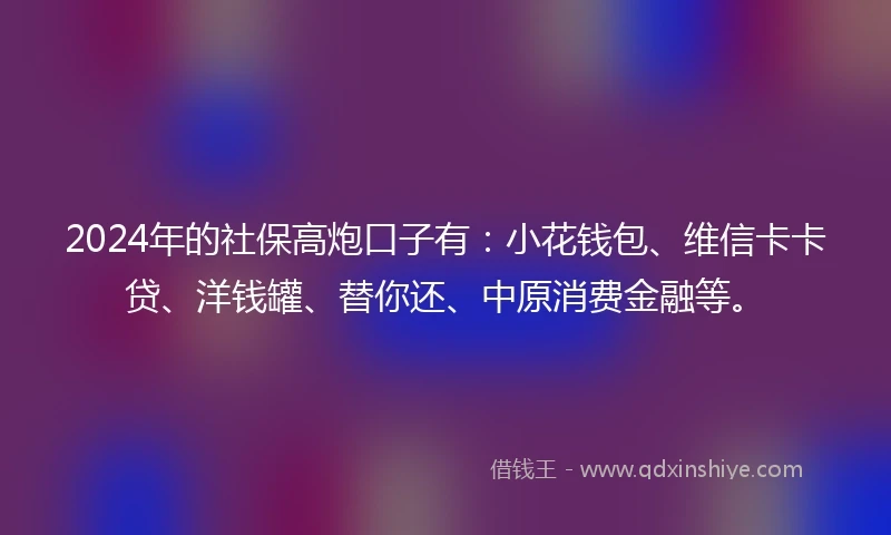 2024年的社保高炮口子有：小花钱包、维信卡卡贷、洋钱罐、替你还、中原消费金融等。