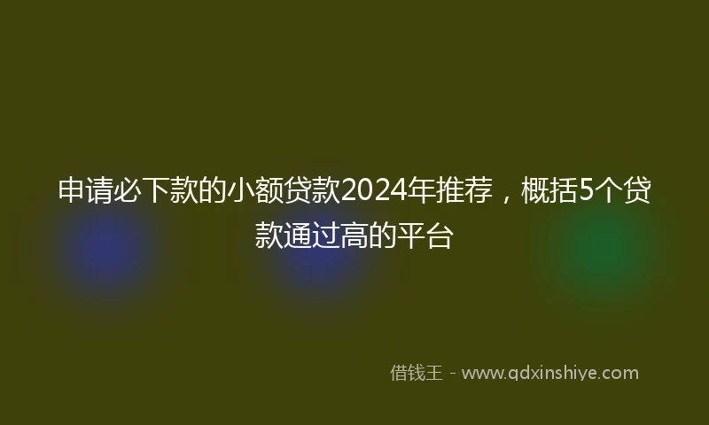申请必下款的小额贷款2024年推荐，概括5个贷款通过高的平台