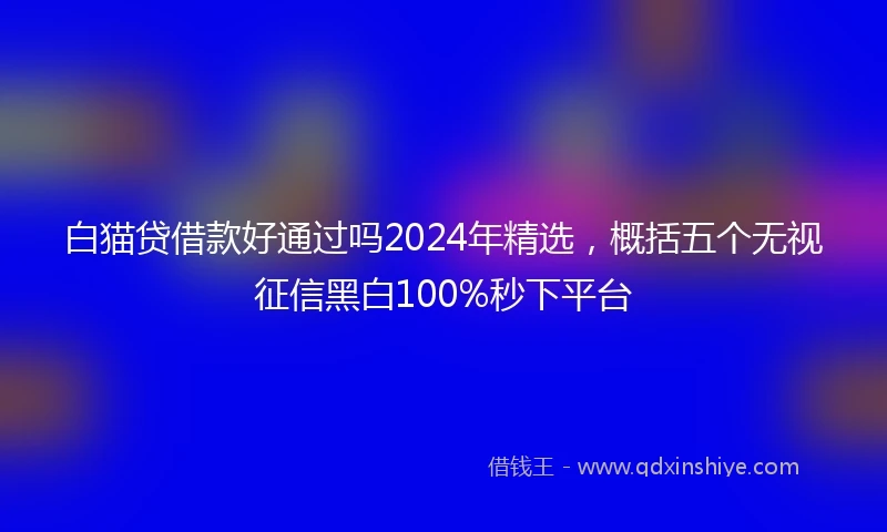 白猫贷借款好通过吗2024年精选，概括五个无视征信黑白100%秒下平台