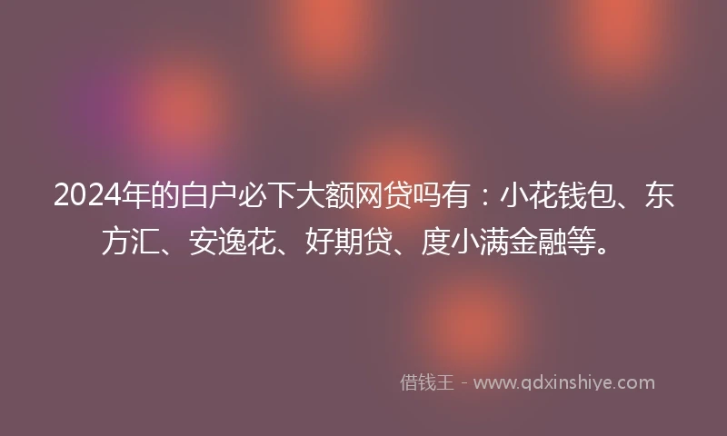 2024年的白户必下大额网贷吗有：小花钱包、东方汇、安逸花、好期贷、度小满金融等。