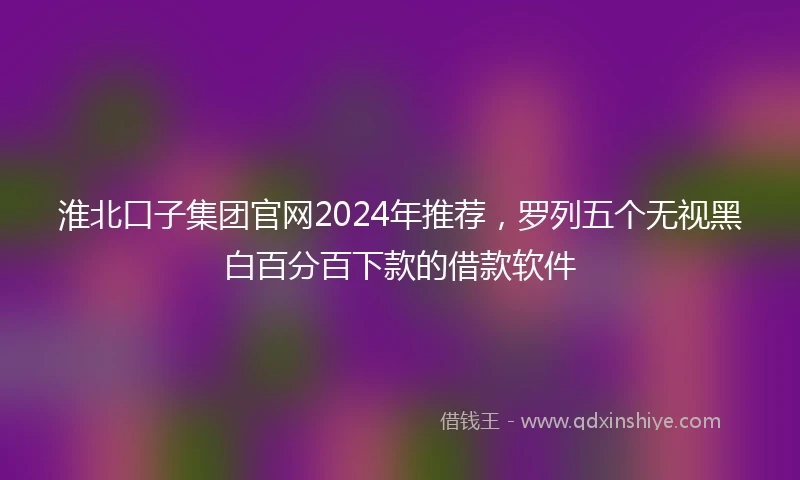 淮北口子集团官网2024年推荐，罗列五个无视黑白百分百下款的借款软件