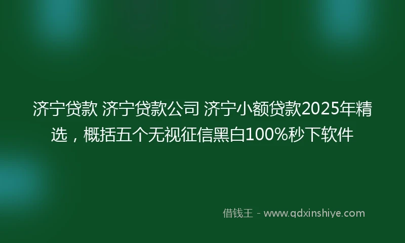 济宁贷款 济宁贷款公司 济宁小额贷款2025年精选，概括五个无视征信黑白100%秒下软件