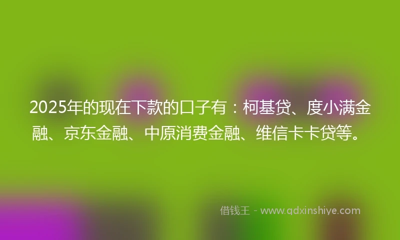 2025年的现在下款的口子有：柯基贷、度小满金融、京东金融、中原消费金融、维信卡卡贷等。
