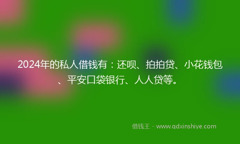2024年的私人借钱有：还呗、拍拍贷、小花钱包、平安口袋银行、人人贷等。