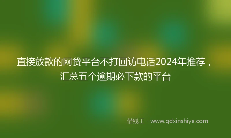直接放款的网贷平台不打回访电话2024年推荐，汇总五个逾期必下款的平台