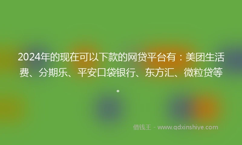 2024年的现在可以下款的网贷平台有：美团生活费、分期乐、平安口袋银行、东方汇、微粒贷等。