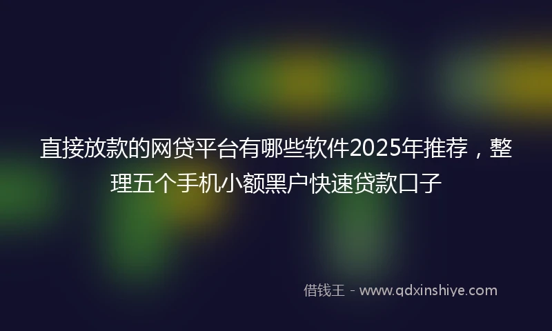 直接放款的网贷平台有哪些软件2025年推荐，整理五个手机小额黑户快速贷款口子