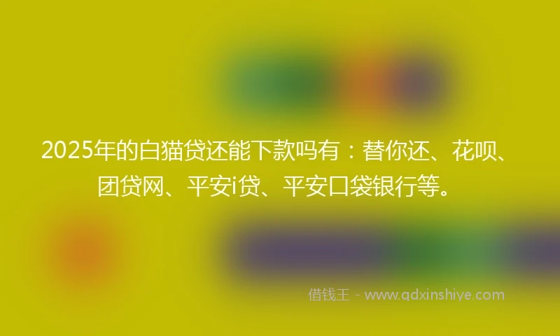 2025年的白猫贷还能下款吗有：替你还、花呗、团贷网、平安i贷、平安口袋银行等。