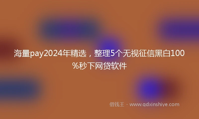 海量pay2024年精选，整理5个无视征信黑白100%秒下网贷软件