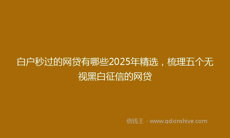 白户秒过的网贷有哪些2025年精选，梳理五个无视黑白征信的网贷