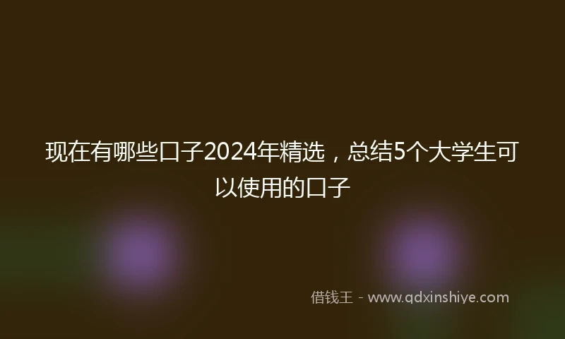 现在有哪些口子2024年精选，总结5个大学生可以使用的口子