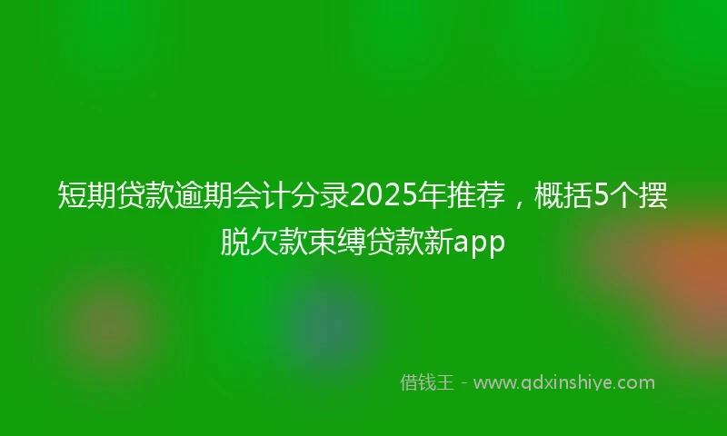 短期贷款逾期会计分录2025年推荐，概括5个摆脱欠款束缚贷款新app