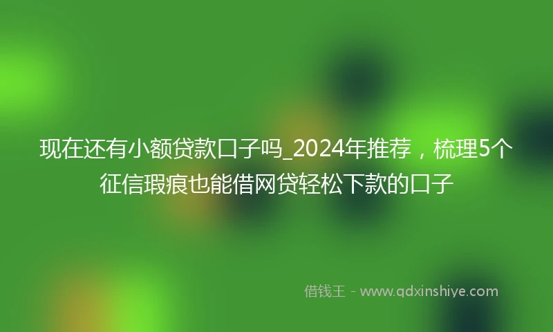 现在还有小额贷款口子吗_2024年推荐，梳理5个征信瑕疵也能借网贷轻松下款的口子