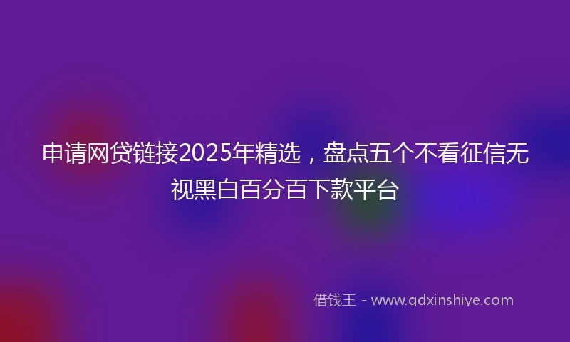 申请网贷链接2025年精选，盘点五个不看征信无视黑白百分百下款平台