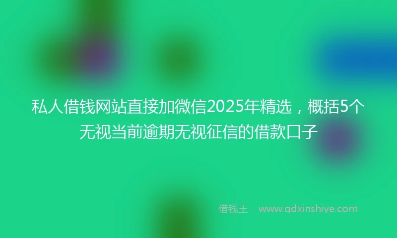 私人借钱网站直接加微信2025年精选，概括5个无视当前逾期无视征信的借款口子