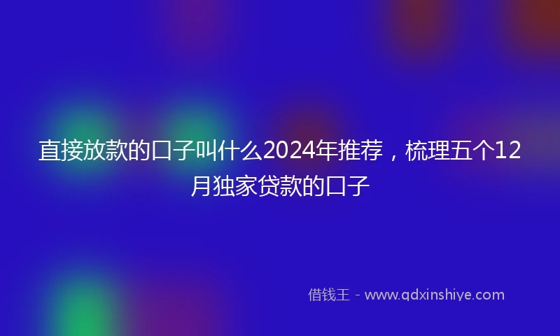 直接放款的口子叫什么2024年推荐，梳理五个12月独家贷款的口子