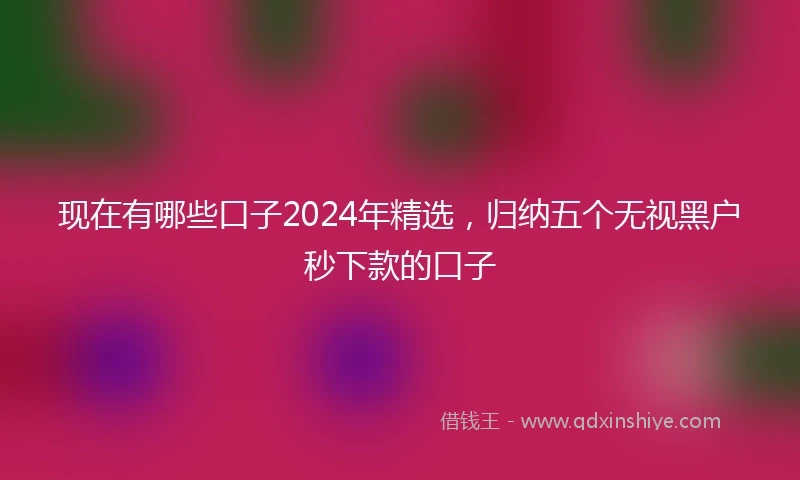现在有哪些口子2024年精选，归纳五个无视黑户秒下款的口子