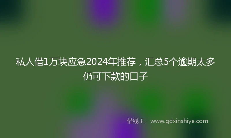 私人借1万块应急2024年推荐，汇总5个逾期太多仍可下款的口子