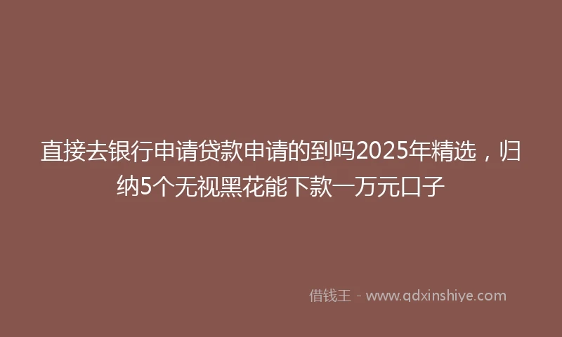 直接去银行申请贷款申请的到吗2025年精选，归纳5个无视黑花能下款一万元口子