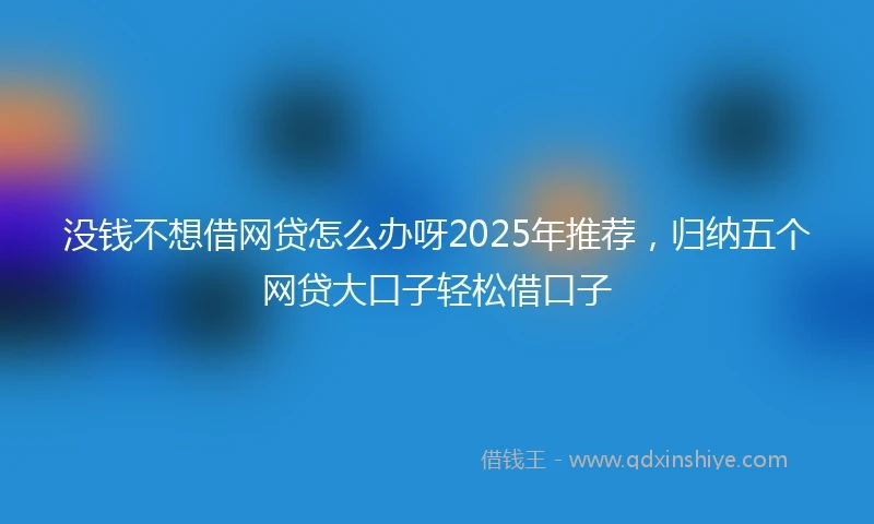 没钱不想借网贷怎么办呀2025年推荐，归纳五个网贷大口子轻松借口子