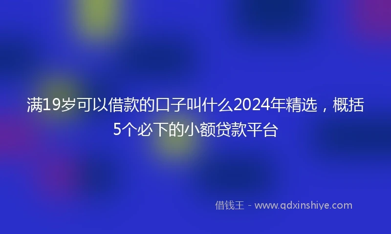 满19岁可以借款的口子叫什么2024年精选，概括5个必下的小额贷款平台