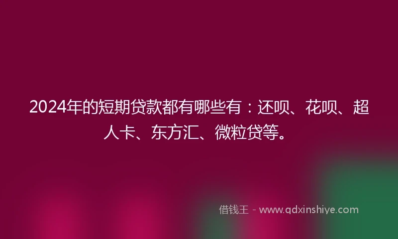 2024年的短期贷款都有哪些有：还呗、花呗、超人卡、东方汇、微粒贷等。