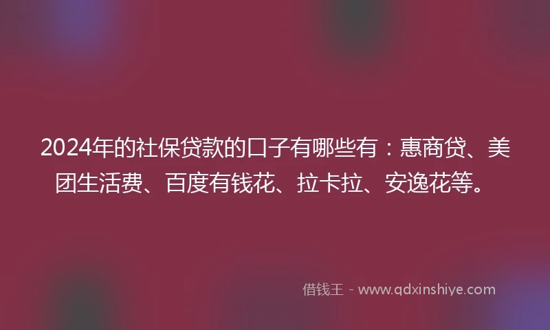 2024年的社保贷款的口子有哪些有：惠商贷、美团生活费、百度有钱花、拉卡拉、安逸花等。