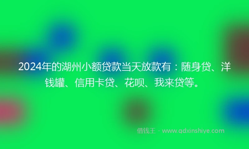 2024年的湖州小额贷款当天放款有：随身贷、洋钱罐、信用卡贷、花呗、我来贷等。