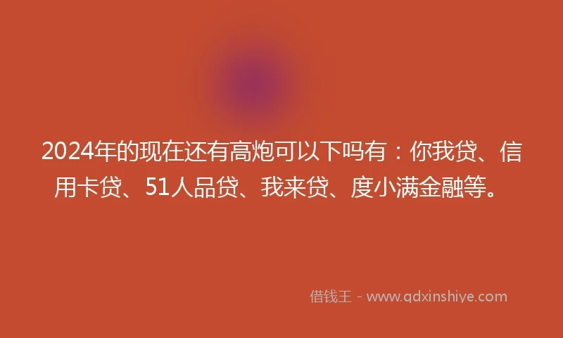 2024年的现在还有高炮可以下吗有：你我贷、信用卡贷、51人品贷、我来贷、度小满金融等。