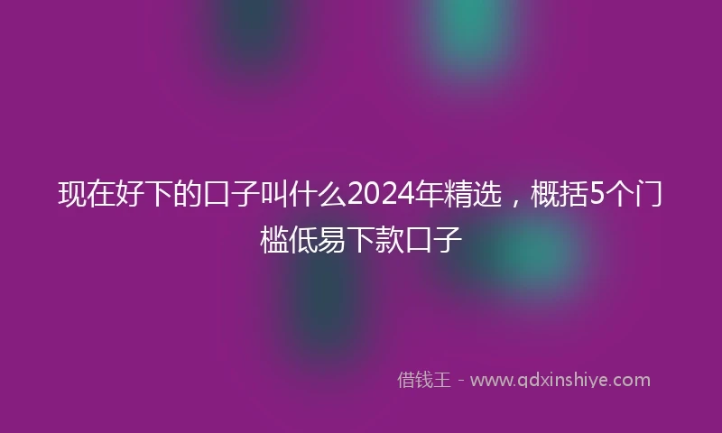 现在好下的口子叫什么2024年精选，概括5个门槛低易下款口子
