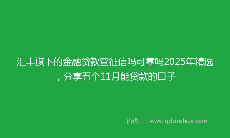 汇丰旗下的金融贷款查征信吗可靠吗2025年精选，分享五个11月能贷款的口子