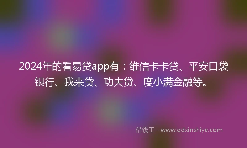 2024年的看易贷app有：维信卡卡贷、平安口袋银行、我来贷、功夫贷、度小满金融等。