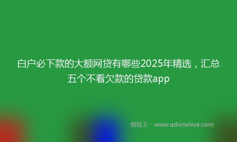 白户必下款的大额网贷有哪些2025年精选，汇总五个不看欠款的贷款app