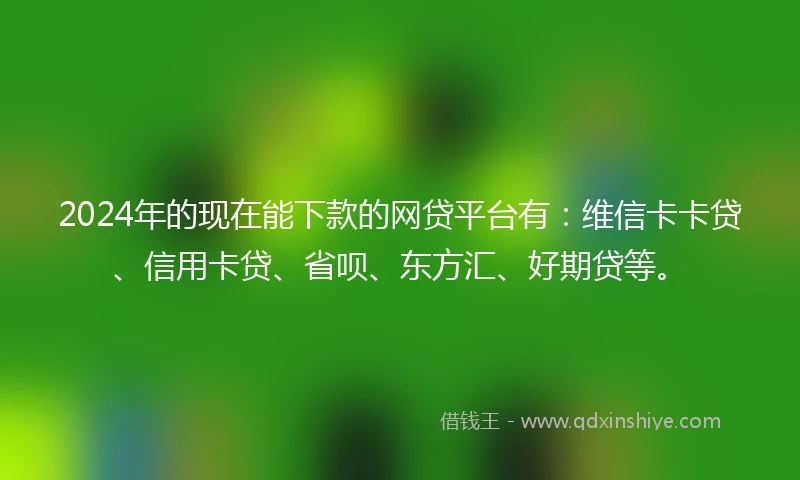 2024年的现在能下款的网贷平台有：维信卡卡贷、信用卡贷、省呗、东方汇、好期贷等。