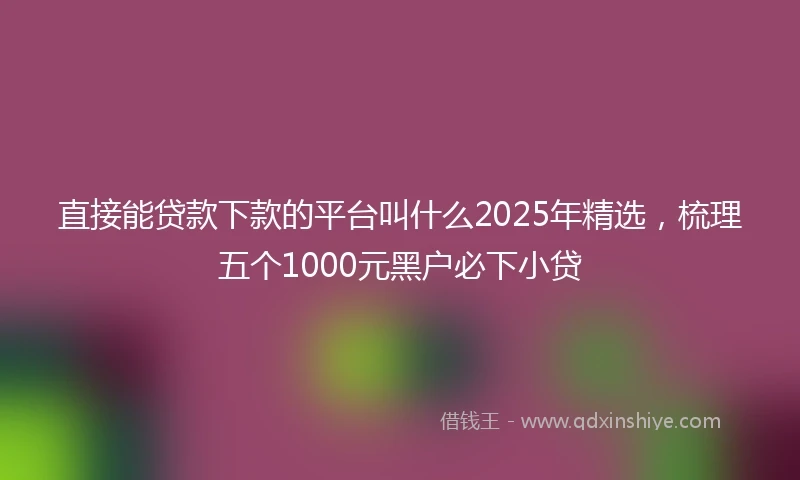 直接能贷款下款的平台叫什么2025年精选，梳理五个1000元黑户必下小贷