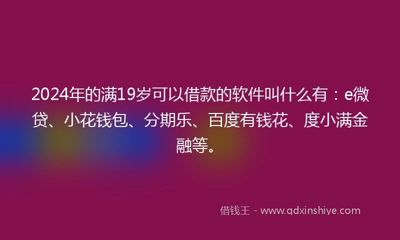 2024年的满19岁可以借款的软件叫什么有：e微贷、小花钱包、分期乐、百度有钱花、度小满金融等。